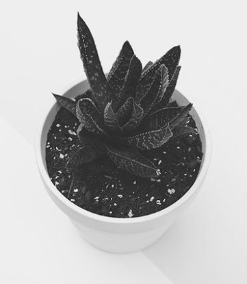 0c3cbd84284d61c68ab6ff2f2f7342ae.jpg